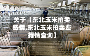 关于【东北玉米拍卖费用行情,东北玉米拍卖费用行情查询】-第3张图片