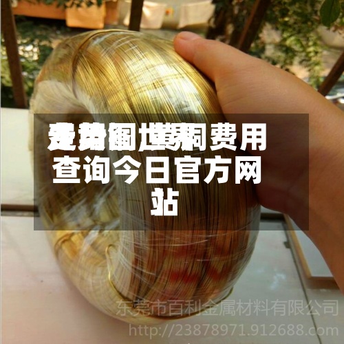【黄铜世界费用走势图,黄铜费用查询今日官方网站】-第2张图片