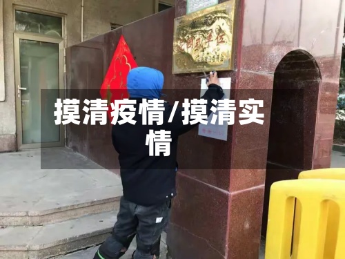 摸清疫情/摸清实情-第2张图片