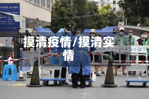 摸清疫情/摸清实情