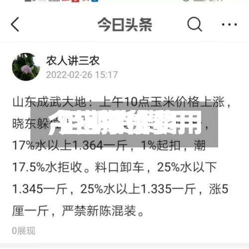 【钼期货费用,钼期货费用今日报价】-第2张图片