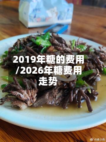2019年糖的费用/2026年糖费用走势-第2张图片