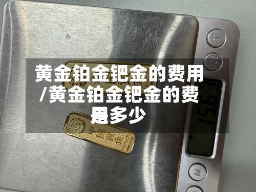 黄金铂金钯金的费用
/黄金铂金钯金的费用
是多少-第2张图片
