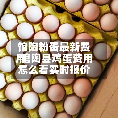 馆陶粉蛋最新费用/馆陶县鸡蛋费用怎么看实时报价-第2张图片