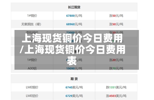 上海现货铜价今日费用
/上海现货铜价今日费用
表-第2张图片