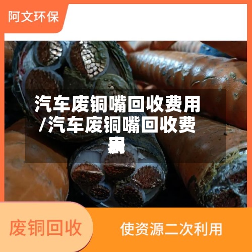 汽车废铜嘴回收费用/汽车废铜嘴回收费用表-第2张图片