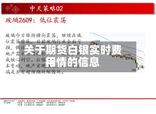 关于期货白银实时费用行情的信息-第2张图片