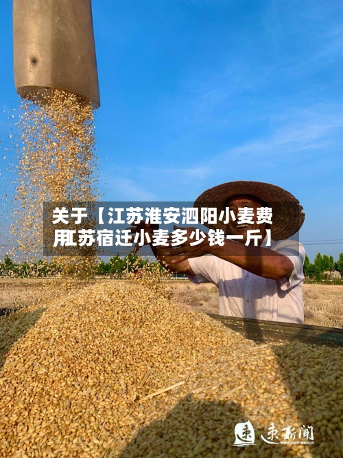 关于【江苏淮安泗阳小麦费用
,江苏宿迁小麦多少钱一斤】-第3张图片