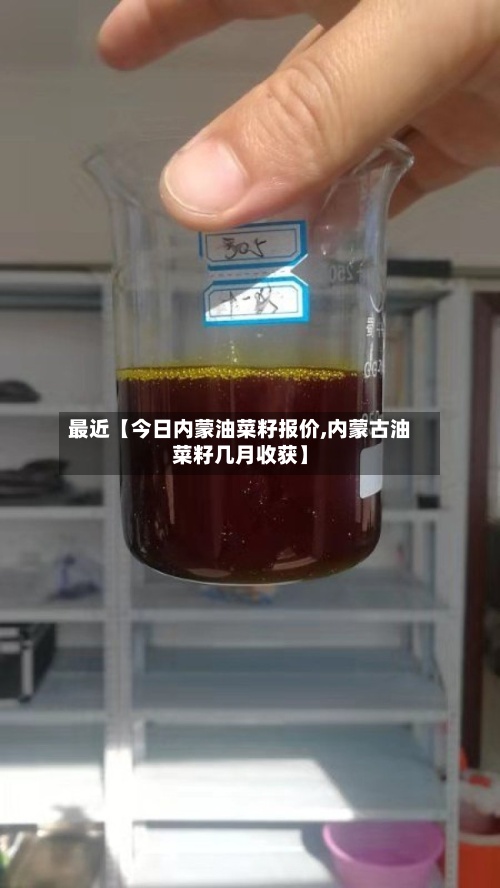 最近【今日内蒙油菜籽报价,内蒙古油菜籽几月收获】-第2张图片