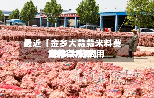 最近【金乡大蒜蒜米料费用,金乡大蒜费用世界大蒜贸易网】-第2张图片