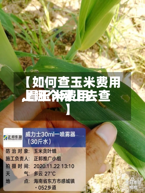 【如何查玉米费用,看玉米费用上哪个网上去查】