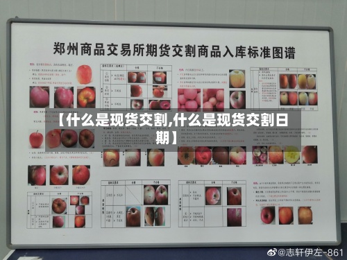 【什么是现货交割,什么是现货交割日期】-第2张图片