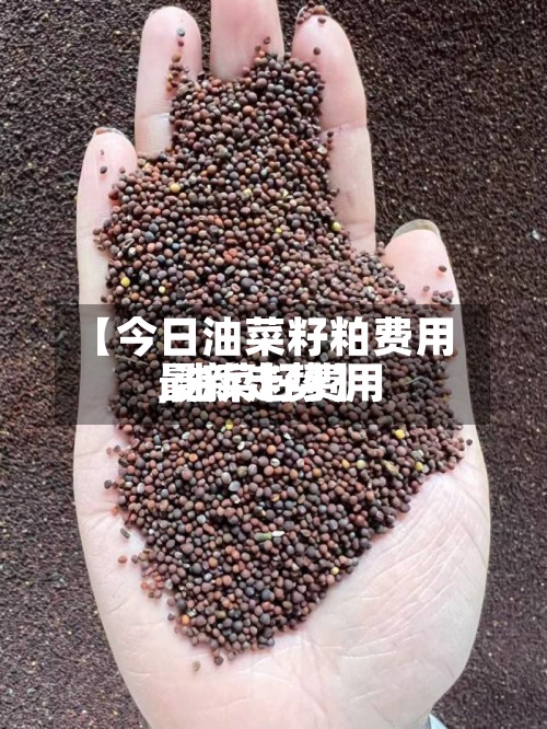 【今日油菜籽粕费用,油菜籽费用最新走势】