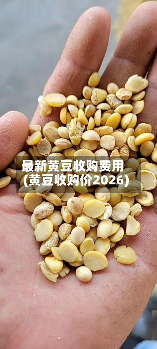 最新黄豆收购费用(黄豆收购价2026)