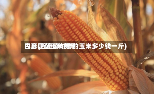 巴彦县潮玉米费用今日(巴彦淖尔市的玉米多少钱一斤)-第3张图片