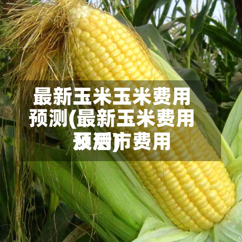 最新玉米玉米费用预测(最新玉米费用及后市费用预测)