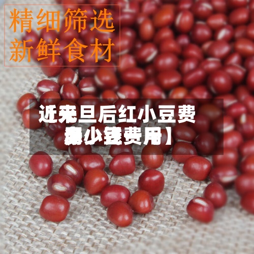 近来【元旦后红小豆费用赤小豆费用多少钱一斤】