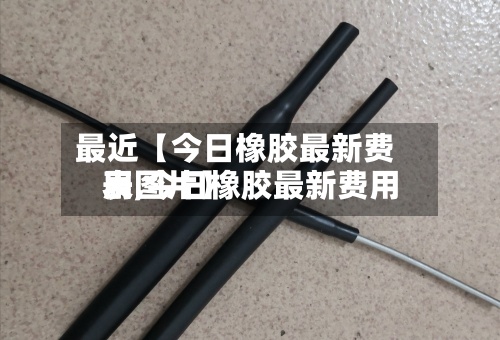 最近【今日橡胶最新费用
表,今日橡胶最新费用
表图片】-第2张图片