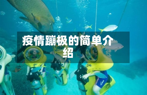 疫情蹦极的简单介绍