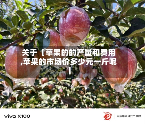 关于【苹果的的产量和费用
,苹果的市场价多少元一斤呢】-第3张图片