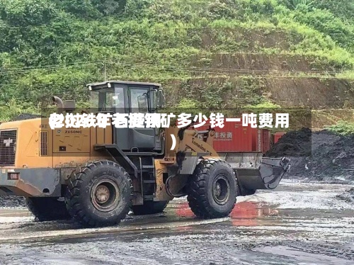 老挝铁矿石费用(2026年老挝铁矿多少钱一吨费用)-第2张图片