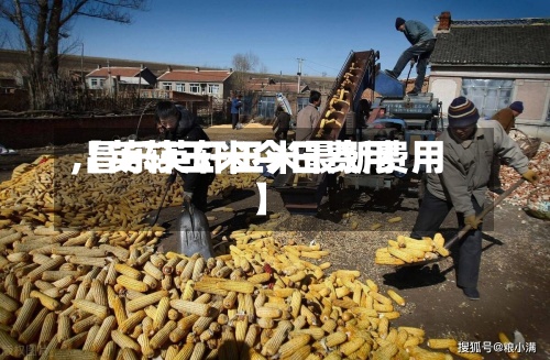 【英轩玉米今日费用,昌乐英轩玉米最新费用】-第2张图片