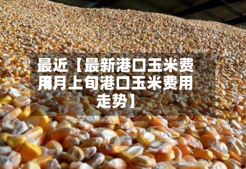 最近【最新港口玉米费用
,8月上旬港口玉米费用
走势】-第2张图片