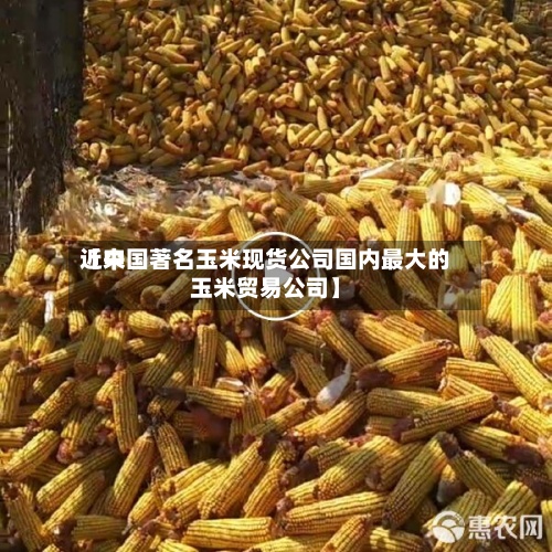近来【中国著名玉米现货公司国内最大的玉米贸易公司】