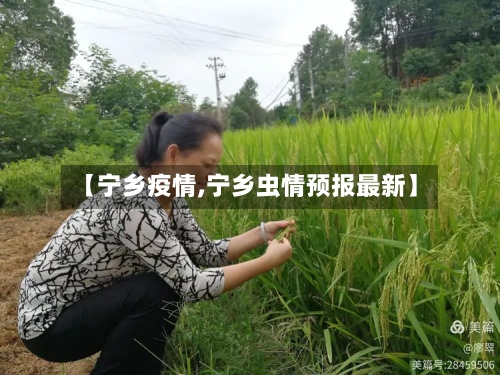 【宁乡疫情,宁乡虫情预报最新】