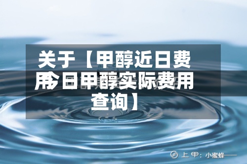 关于【甲醇近日费用,今日甲醇实际费用查询】